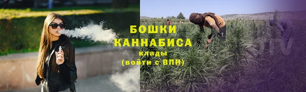 МДПВ Елабуга