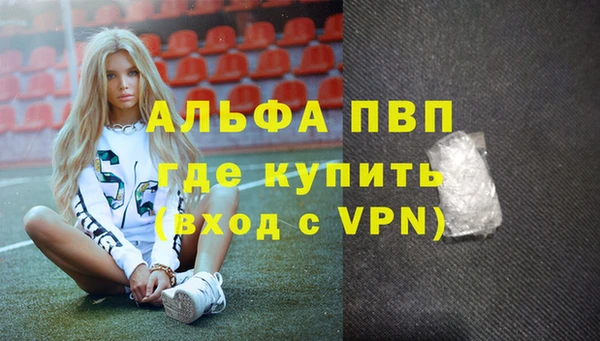 индика Козловка