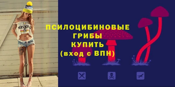 mdpv Бугульма