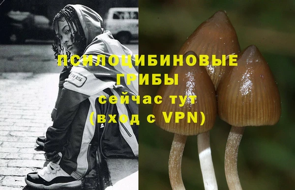 молекула духа Каменногорск