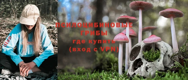 дмт Бронницы
