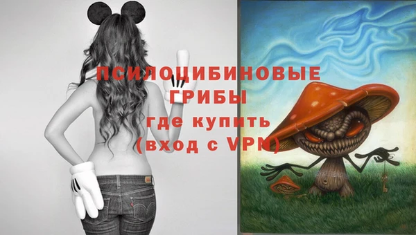 дмт Бронницы